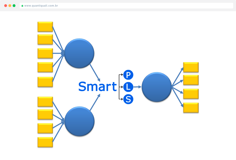 software quantitativo